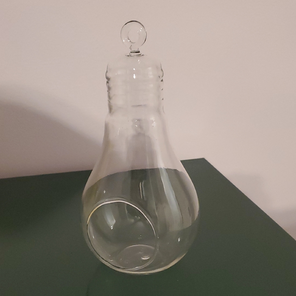 Clear Glass Light Bulb Terrarium